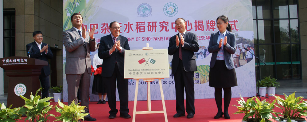 CNRRI hosts Workshop on Cooperation Strategy in Hybrid Rice Technology between China and Pakista...