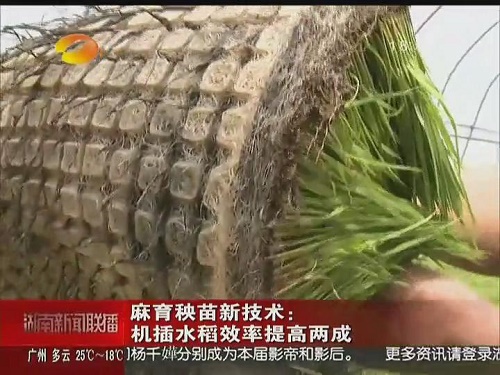 附件17-4秧块盘根.jpg