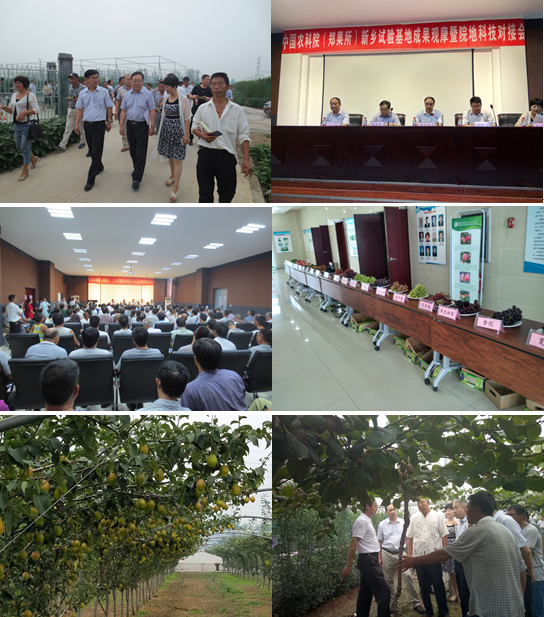 QQ截图20160831110136.png