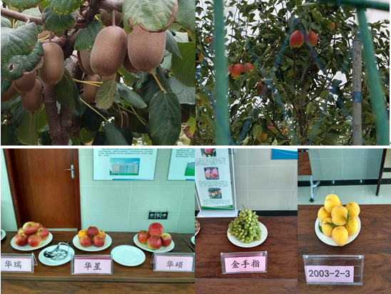 QQ截图20160831110209.png QQ截图20160831110209.png