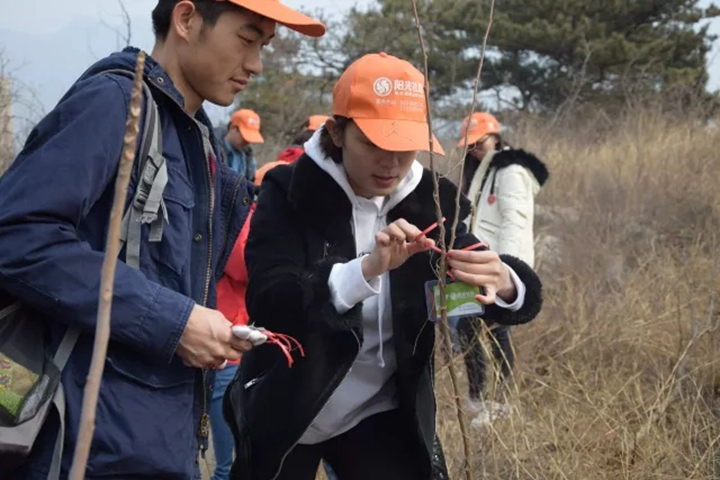 植树3.webp_副本.jpg
