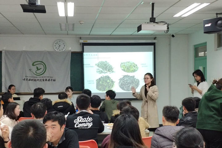 茶学社1_副本.jpg