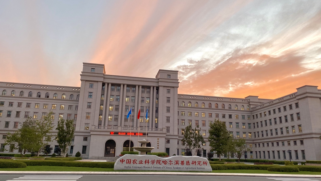 霞光万丈
