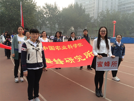 运动会照片修改后.jpg