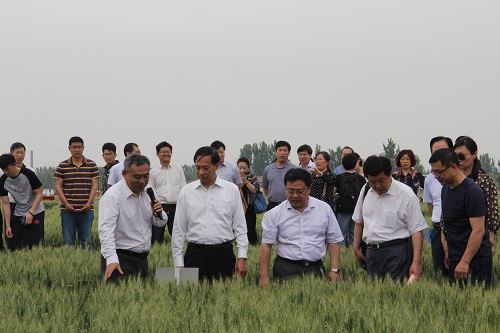 H:\02 所网稿件\观摩会2.jpg