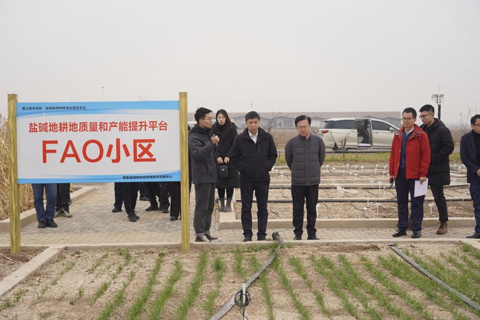 盐碱地2.jpg