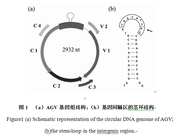 QQ截图20150505161606.jpg